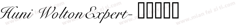 Huni WoltonExpert字体转换